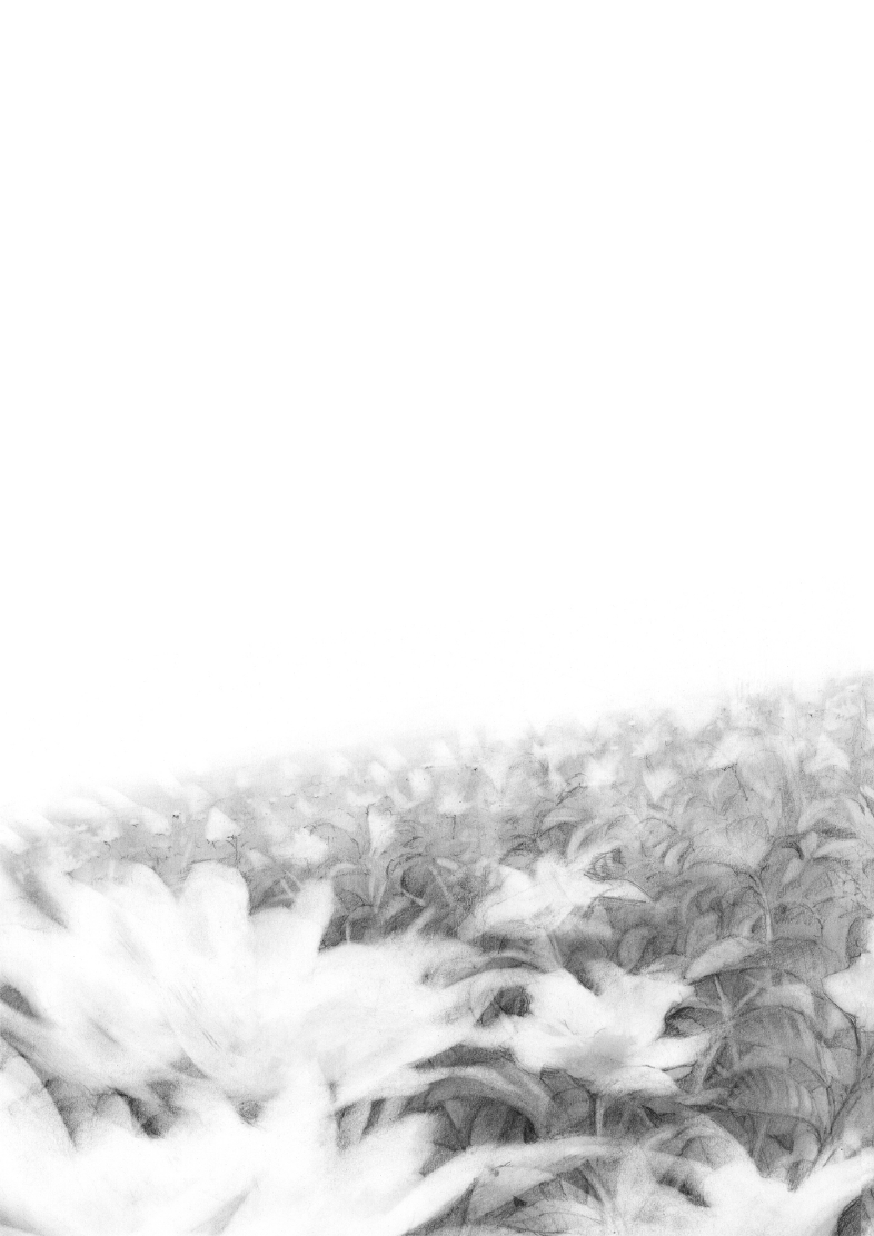 enbj008_page-063.png